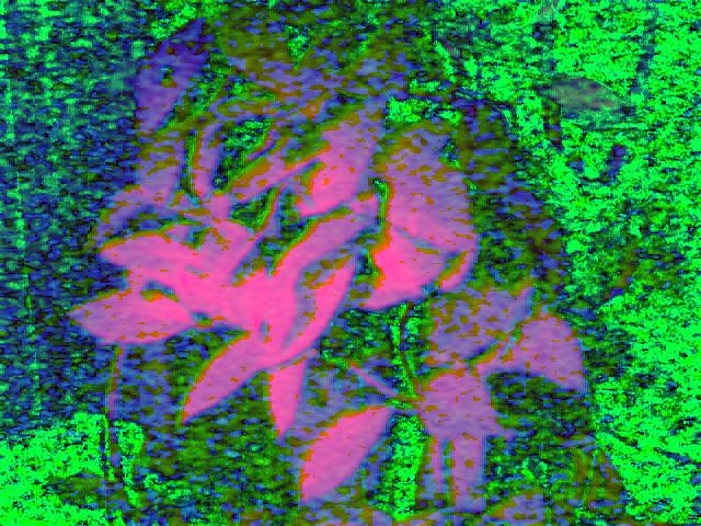 low-res realtime image with HSV filter...