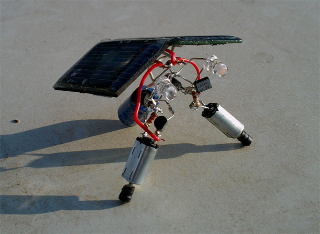 solar bug