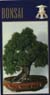 bonsai 