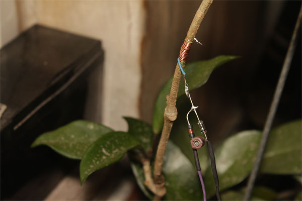 Capacitive stem sensor